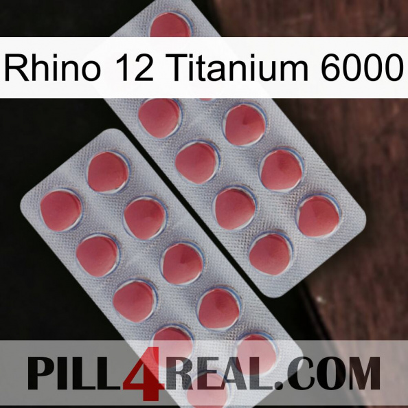 Rhino 12 Titanium 6000 19.jpg